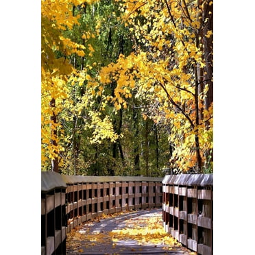 7x5 Background Backdrops Photography Yellow Autumn Nature Forest Background for Wedding Photobooth Custom Size 